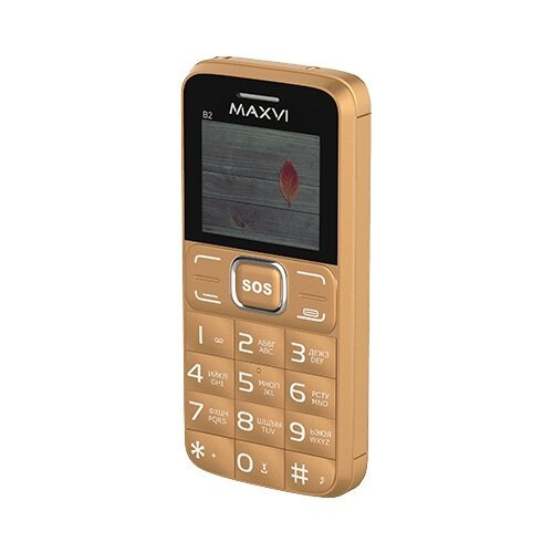Сотовый телефон Maxvi B2, черный